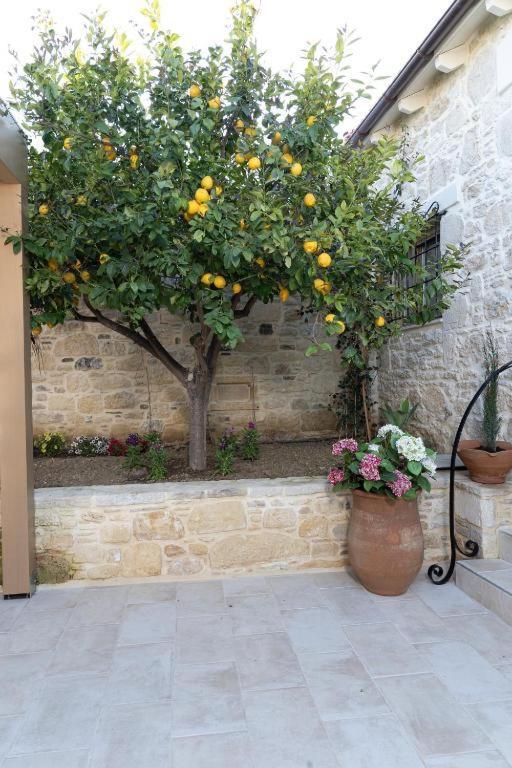 Cretan Rhapsody - Rustick Villa In Siva Sivas Exterior photo